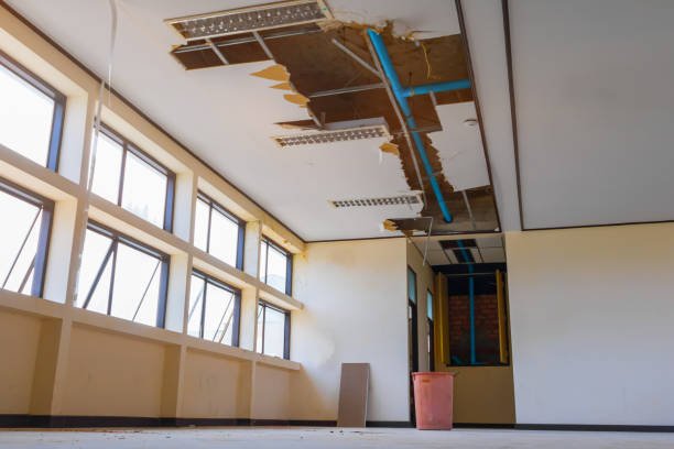 Best Mold removal after water damage  in Oakley, CA