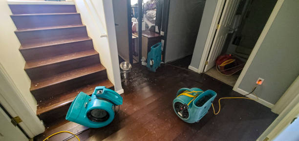 Best Carpet water damage restoration  in Oakley, CA