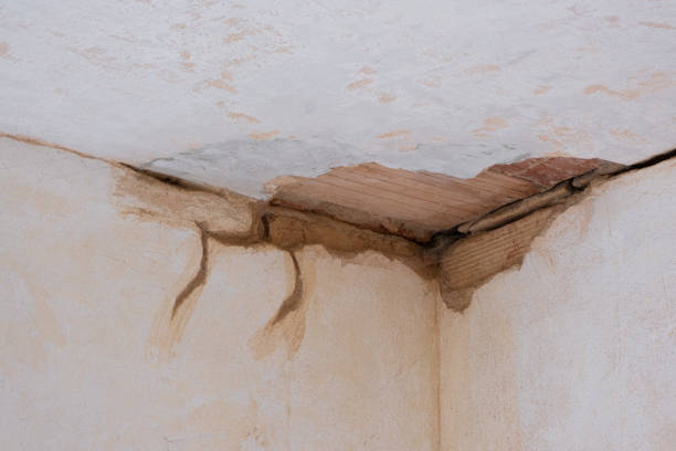  Oakley, CA Water damage restoration Pros