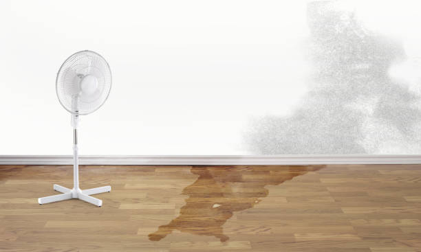 Best Professional water damage repair  in Oakley, CA
