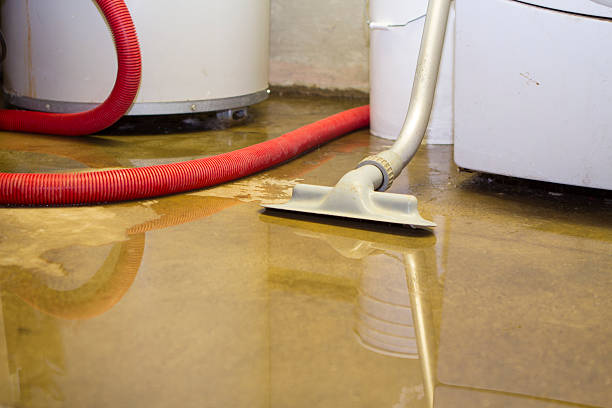 Best Water damage restoration near me  in Oakley, CA